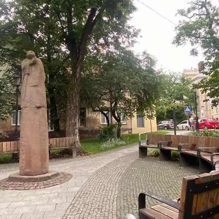 リヴィウВірменська 14 Центр З Балконом Не Далеко Від Ж Д Вокзалу Звітні Документиアパートメント エクステリア 写真